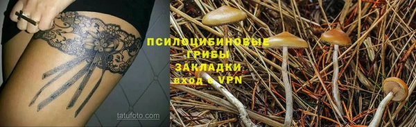 ПСИЛОЦИБИНОВЫЕ ГРИБЫ Лабытнанги