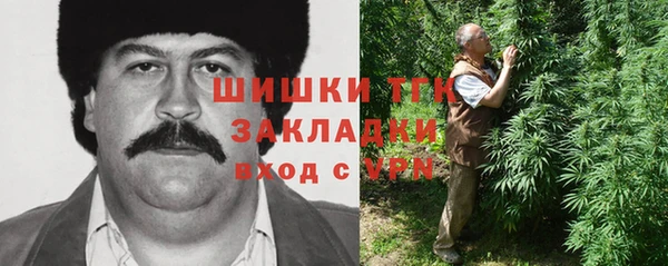 молекула духа Ельня
