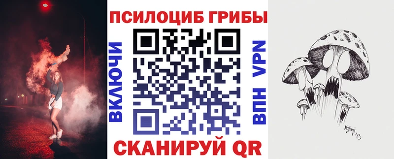 Галлюциногенные грибы Psilocybe  Жуков 