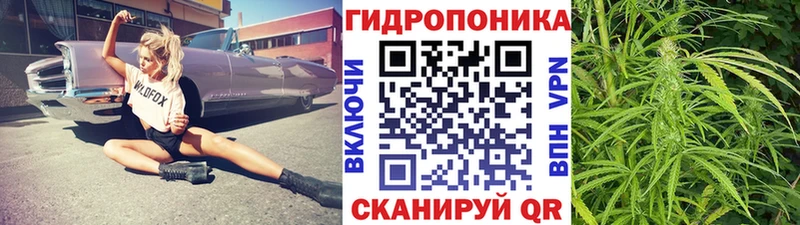 ОМГ ОМГ   Жуков  МАРИХУАНА VHQ 